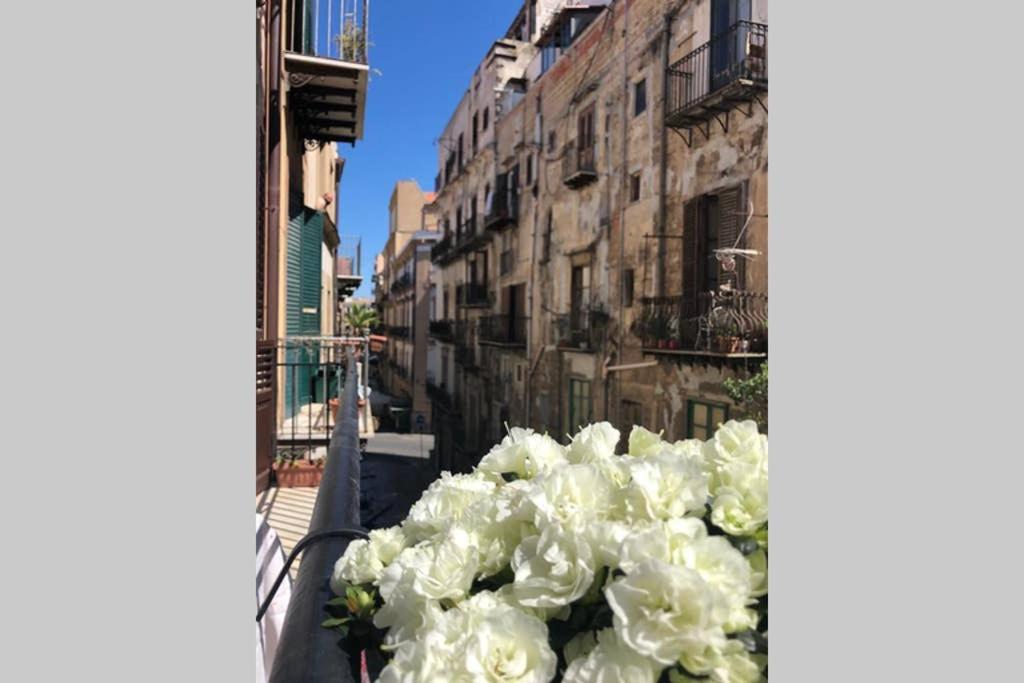 Piazza Marina Open Space Palermo Eksteriør bilde